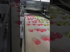 حرفه ای PLC کنترل شده پوشک لباسشویی سازنده کارایی دستگاه کپسول مواد شوینده